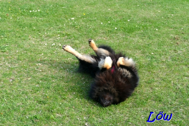 19.4.2025 - Strecken